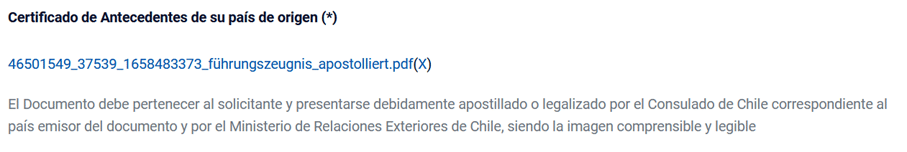 Ausschnitt aus dem Antrag für dein Studentenvisum für Chile