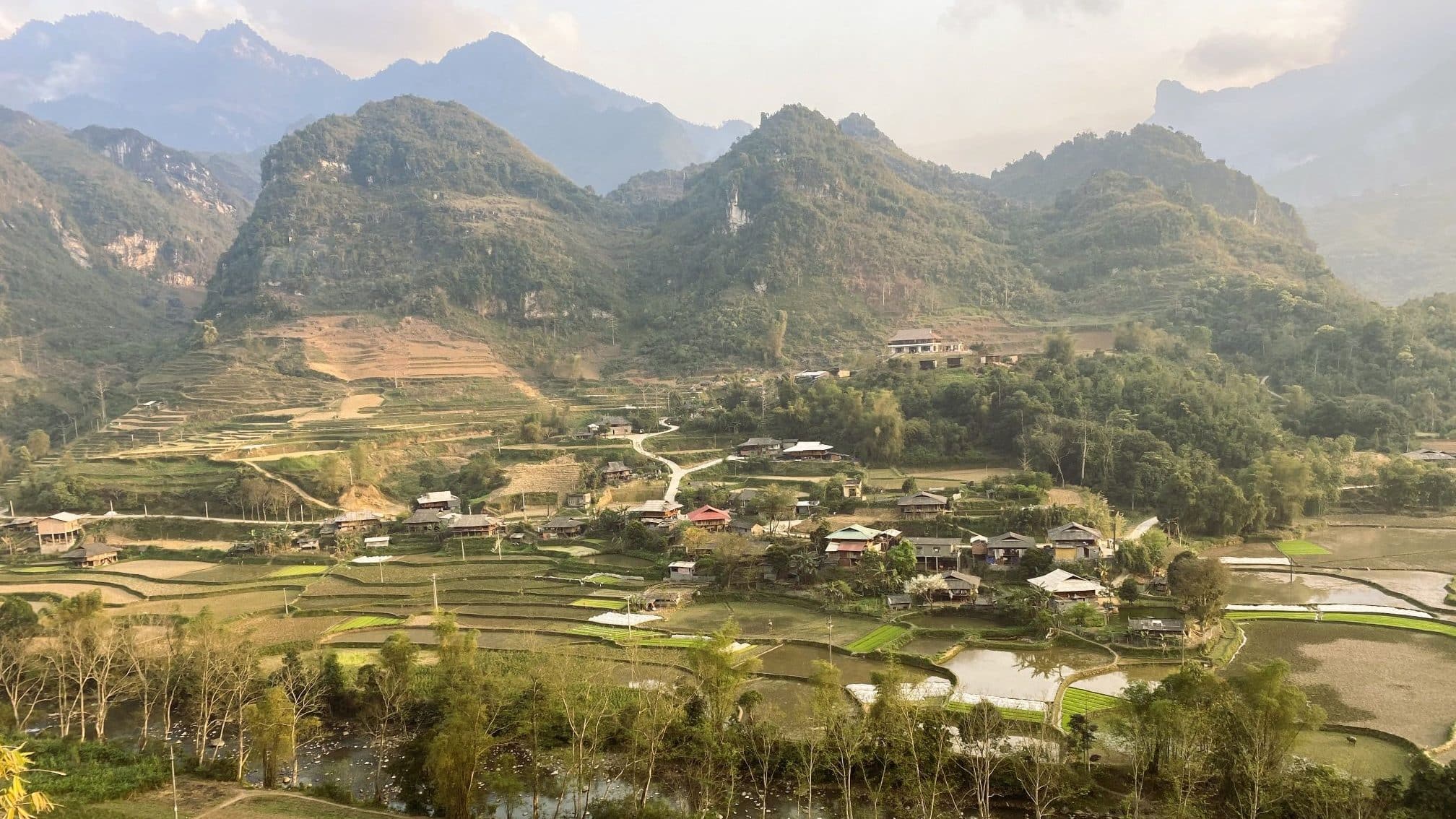 Reisfelder in Nordvietnam